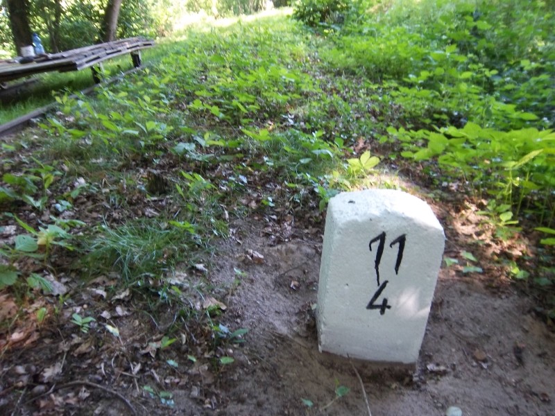 ZWNEGI24